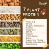 Scoopp Plant Protein โปรตีนพืชทดแทนมื้ออาหาร ลดน้ำหนัก และบำรุงผิว รสโกโก้ดัชท์ กลิ่นเฮเซลนัท 480 กรัม